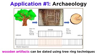 Applications of Dendrochronology [upl. by Oetam]