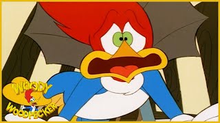 New Woody Woodpecker  No Time Like A Present  Full Episodes [upl. by Arayc773]