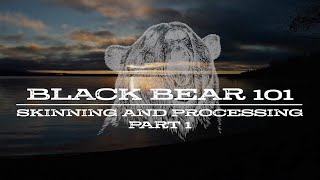 Black Bear 101  Skinning and Processing  Part 1 [upl. by Av]