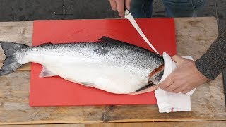 How To FILET a WHOLE SALMON   Easy to do [upl. by Peugia]