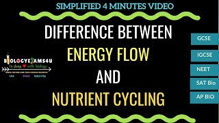 Difference between energy flow and Nutrient Cycling [upl. by Ellemrac221]