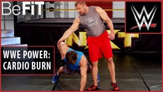 WWE Power Series Extreme Cardio Burn Workout Triple H [upl. by Faustus769]