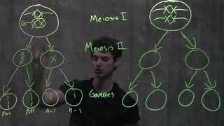 Genetics Nondisjunction amp Meiosis [upl. by Rugen545]