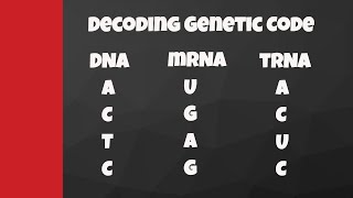 Decode from DNA to mRNA to tRNA to amino acids [upl. by Jerald771]