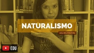 Literatura Brasileira Naturalismo Aula 11 [upl. by Inkster327]