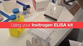 Using your Invitrogen ELISA kit [upl. by Aramahs]