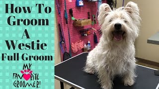 How to Groom a West Highland White Terrier [upl. by Ashley743]