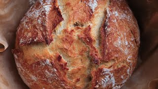 ARTISAN BREAD  NO KNEAD BREAD  Homemade Dutch Oven Bread  Crusty Bread 4K Juicing Peaches [upl. by Mcnamee]