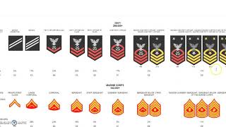 US Military Insignia of Rank [upl. by Alinoel]