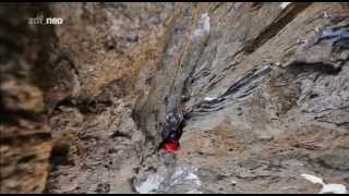 Doku  Die dunklen Seiten der Alpen  Die Grandes Jorasses Nordwand [upl. by Libbi]