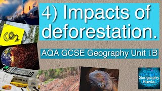 4 Impacts of deforestation  AQA GCSE Geography Unit 1B [upl. by Sorodoeht]