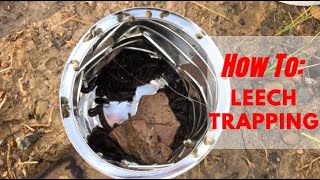 Leech Trapping How To [upl. by Foote]