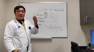 Lateral Medullary syndrome  Wallenberg syndrome [upl. by Ahsiemak]