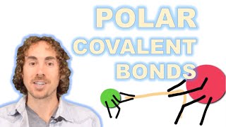 Polar Covalent Bonds [upl. by Ahseyk]