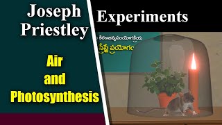 Joseph Priestley Experiment [upl. by Ennoirb]