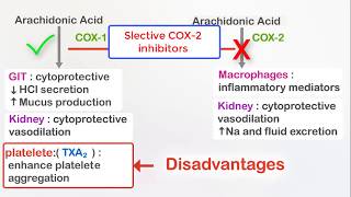 NSAIDs Ibuprofen and selective COX2 inhibitors Celecoxib [upl. by Edy440]