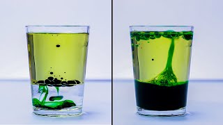 EASY SCIENCE EXPERIMENTS THAT WILL AMAZE KIDS [upl. by Assirahs85]