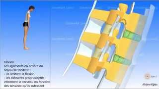 Le disque intervertébral vidéo sonorisée [upl. by Lamahj]