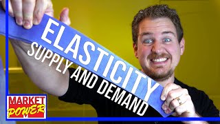 How To Understand Elasticity Economics [upl. by Ardnnek]