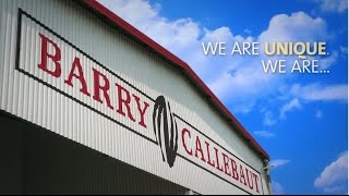 Barry Callebaut  We are shaping the world of chocolate and cocoa [upl. by Yrrac]