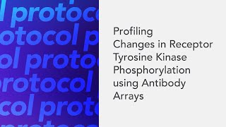 Profiling Changes in Receptor Tyrosine Kinase Phosphorylation using Antibody Arrays [upl. by Ailbert]