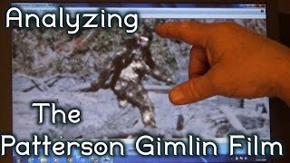 Analyzing the PattersonGimlin amp Freeman Bigfoot with MK Davis [upl. by Wadleigh]