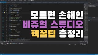 비주얼스튜디오 핵꿀팁 총정리 [upl. by Shaina]