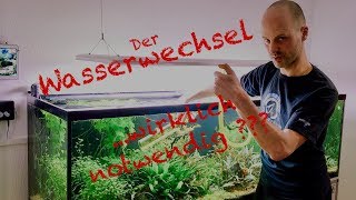 Wasserwechsel im Aquarium  Profi Tipp [upl. by Zoldi63]