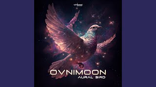 Aural Bird [upl. by Eikin]