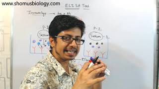 ELISA test procedure  what is elisa assay [upl. by Jola]