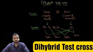 Dihybrid Test cross [upl. by Nylednarb]