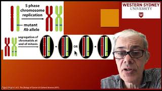 34 Loss of heterozygosity LOH [upl. by Lilli899]