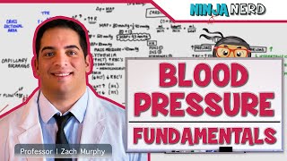 Cardiovascular  Fundamentals of Blood Pressure [upl. by Brien]