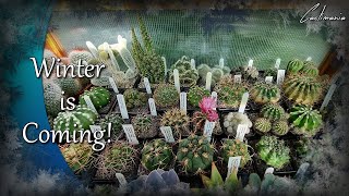 Overwintering Cacti amp Succulents 2021  Cactus amp Succulent Collection [upl. by Leirvag]