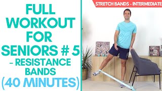 40Minute Intermediate Stretch Band Workout for Seniors [upl. by Caasi583]