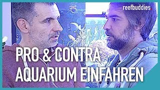 Meerwasseraquarium einfahren 2 Profis 2 Standpunkte  reefbuddies [upl. by Alyat]