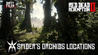 All Spider Orchid Locations Red Dead Redemption 2 RDR2 [upl. by Clymer166]