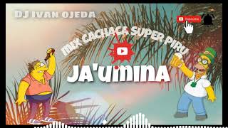 CACHACA SUPER PIRU MIX JAUMINA MAIKY ENGANCHADO 2020 [upl. by Belita]