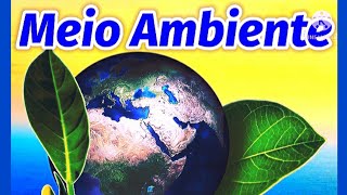 Vídeo Aula  O MEIO AMBIENTE  Conceito Importância Problemas e Preservação [upl. by Waite279]