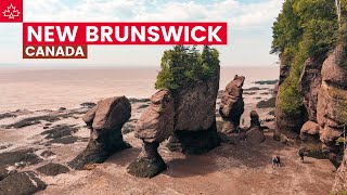 Canada Road Trip Best Things To Do In New Brunswick [upl. by Alik915]