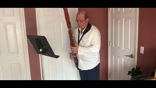 Meet the Instruments  The Bassoon [upl. by Clymer]