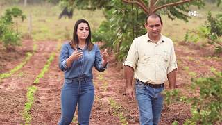 Videoaula  Sistemas Agroflorestais SAFs  Módulo 1 [upl. by Astra]