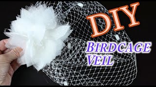 DIY Birdcage Bridal Veil [upl. by Eselrahc]