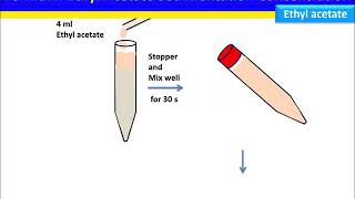 Fecal Sedimentation Concentration FormalinEthyl Acetate Method [upl. by Hogen]