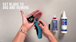 WAHL How to Clean a Wahl ‘5 in 1’ Blade [upl. by Nelluc690]