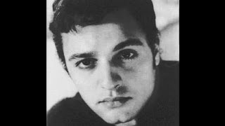 quotSal Mineo A Hollywood Icon With a Heartbreaking EndquotJerry Skinner Documentary [upl. by Matteo]