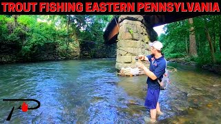 Trout Fishing Eastern Pennsylvania [upl. by Nonad346]