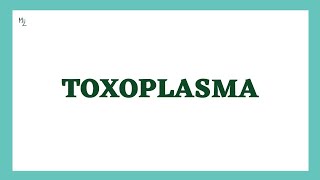 Toxoplasma gondii  Toxoplasmosis  Life Cycle Diagnosis Treatment amp Prevention  MEDZUKHRUF [upl. by Germayne]