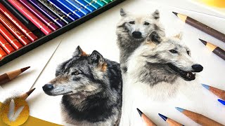 Beginning Colored Pencils Guide [upl. by Alexandria475]