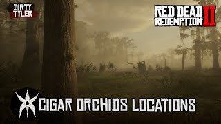 RDR2 All Cigar Orchid Locations Red Dead Redemption 2 [upl. by Lyj]